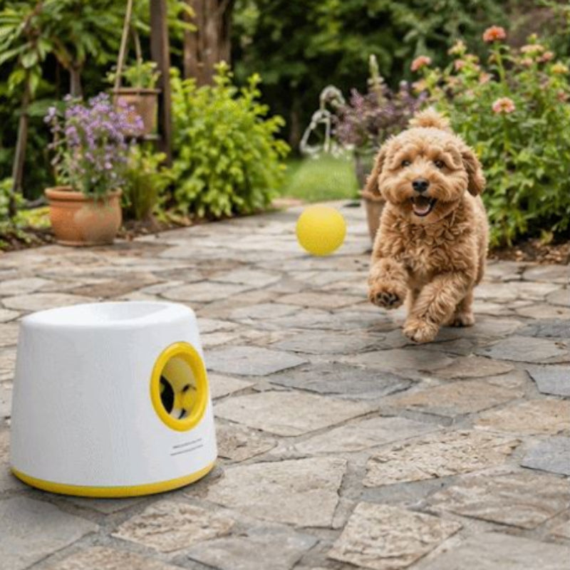 Lanceurs de balles pour chien jaune dans la cour