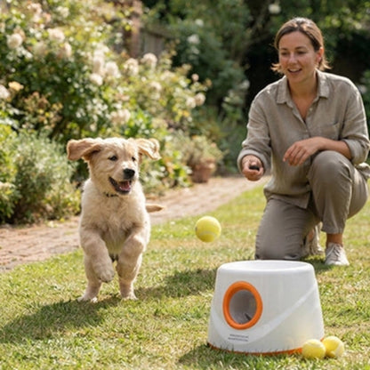 Lanceurs de balles pour chien jeux au parc