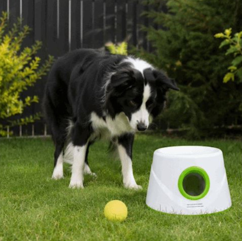 Lanceurs de balles pour chien vert au jardin