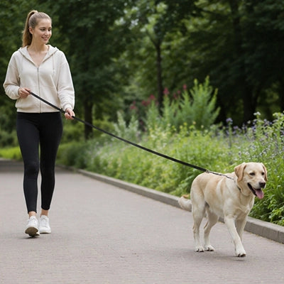 Longe pour chien | Ultra-résistante en nylon renforcé
