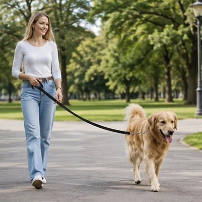 Longe pour chien | Ultra-résistante en nylon renforcé