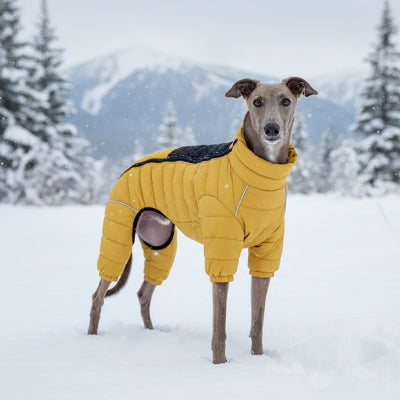Manteau pour chien Wintershield jaune sous la neige