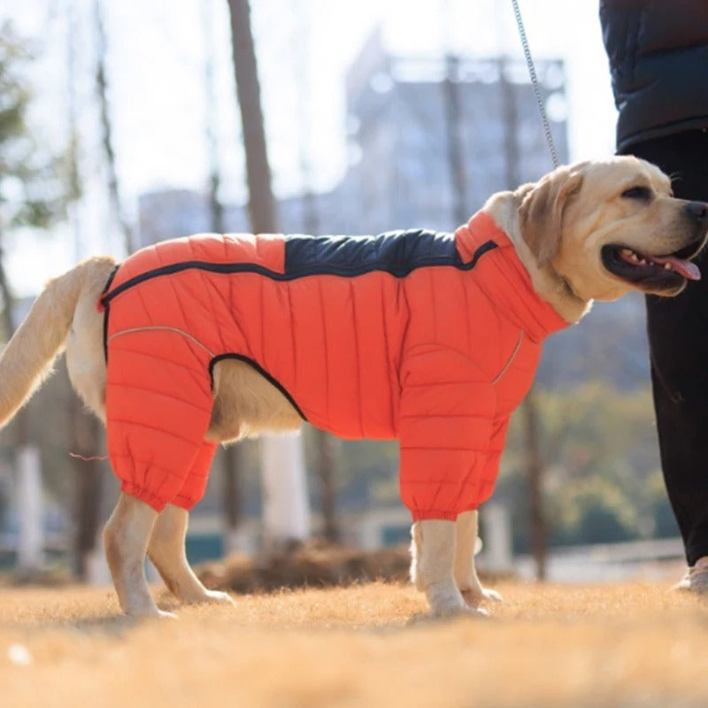 Manteau pour chien Wintershield orange au parc