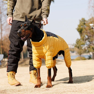 Manteau pour chien Wintershield promenade