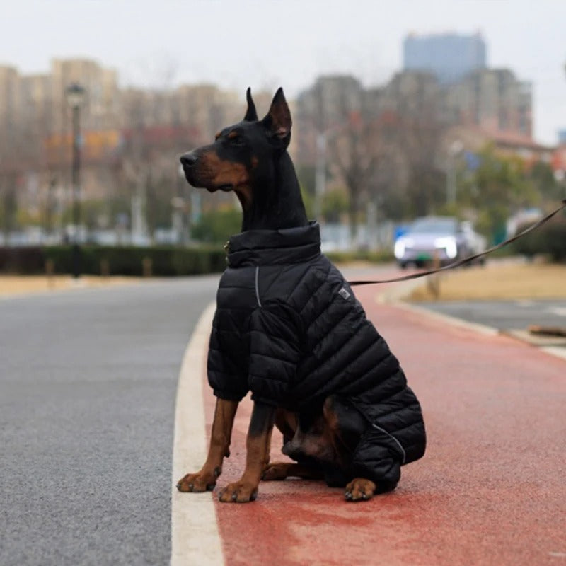 Manteau pour chien Wintershield en ville