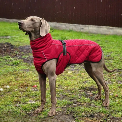 Manteau pour chien | WarmProtect™