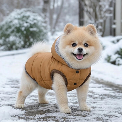 Manteau pour chien marron dans le jardin