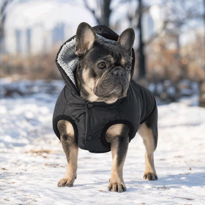 Manteau pour chien noir en hiver