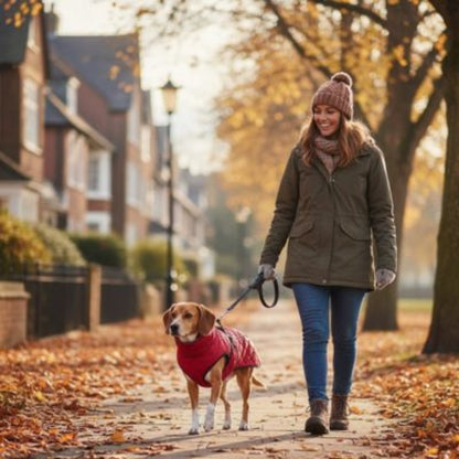 Manteau pour chien | WarmProtect™