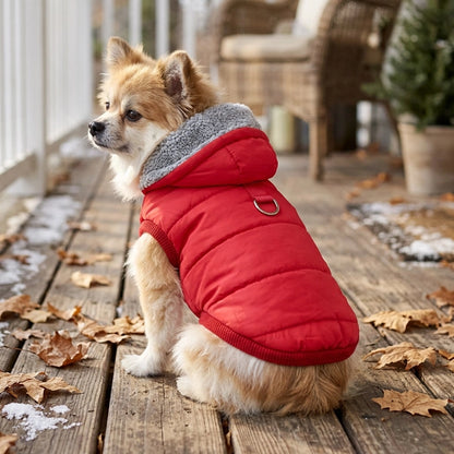 Manteau pour chien rouge en terrasse