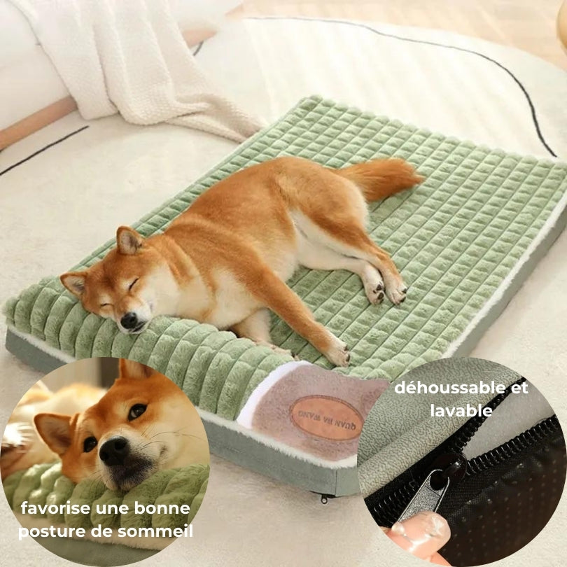 Lit pour chien | Matrelax™ - Je Promène Mon Chien