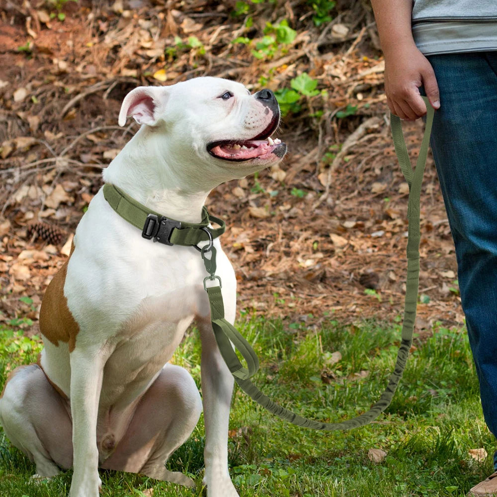 Collier tactique pour grand chien | Militcol™