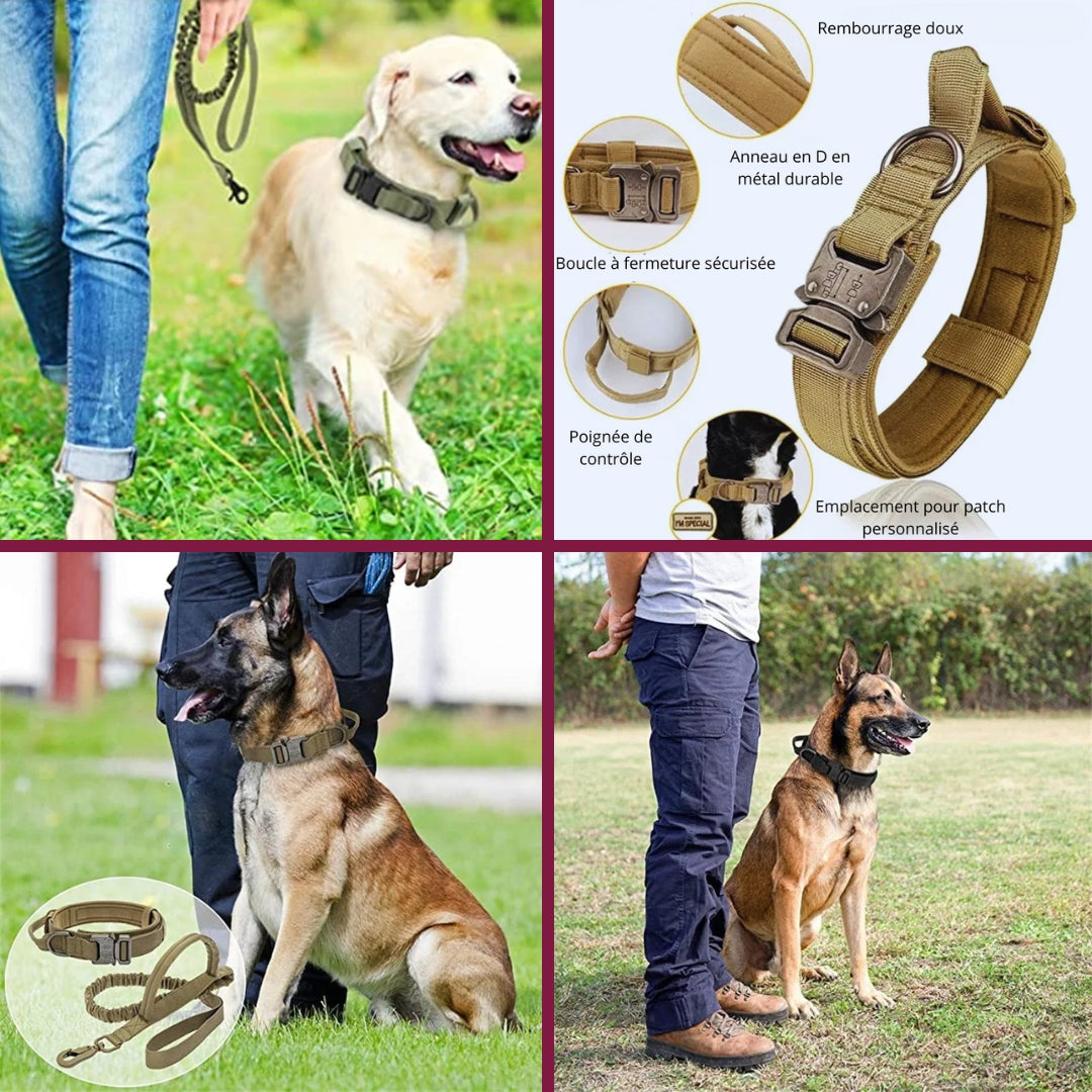 Collier tactique pour grand chien | Militcol™