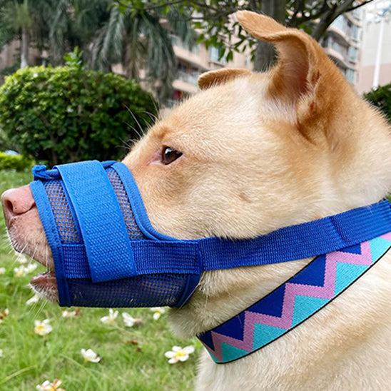 Muselière | Secure™