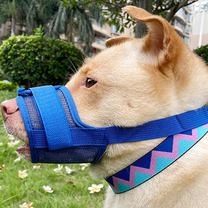 Muselière | Secure™