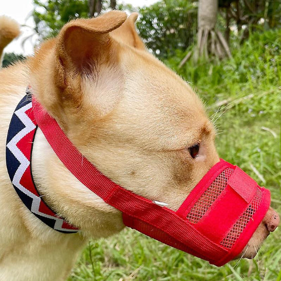 Muselière | Secure™