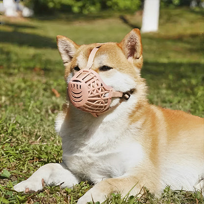 Muselière cage | Style Panier