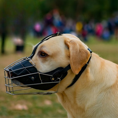 Muselière cage | Security™