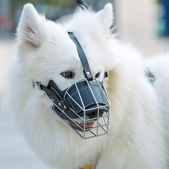 Muselière cage | Security™