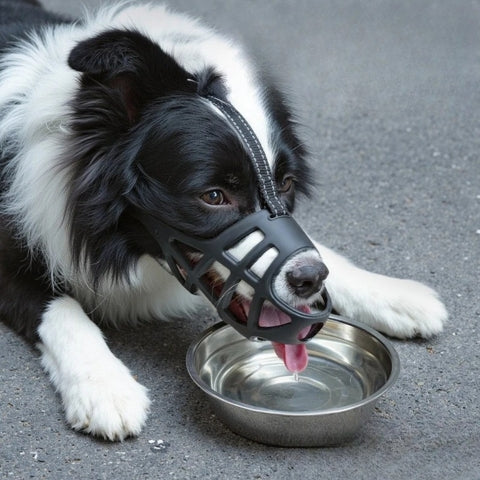 Museliere confort chien et sa gamelle