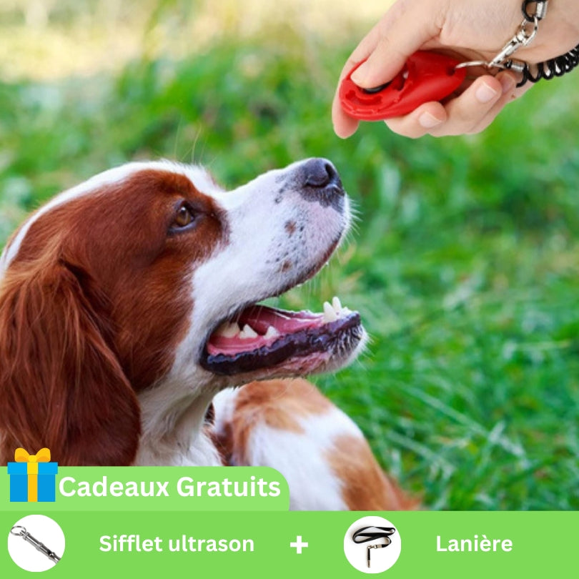 Toutouclic™ | Clicker spécial apprentissage