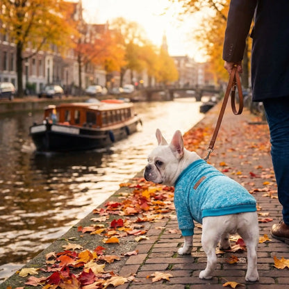 regarder passer la péniche avec le pull chien en automne