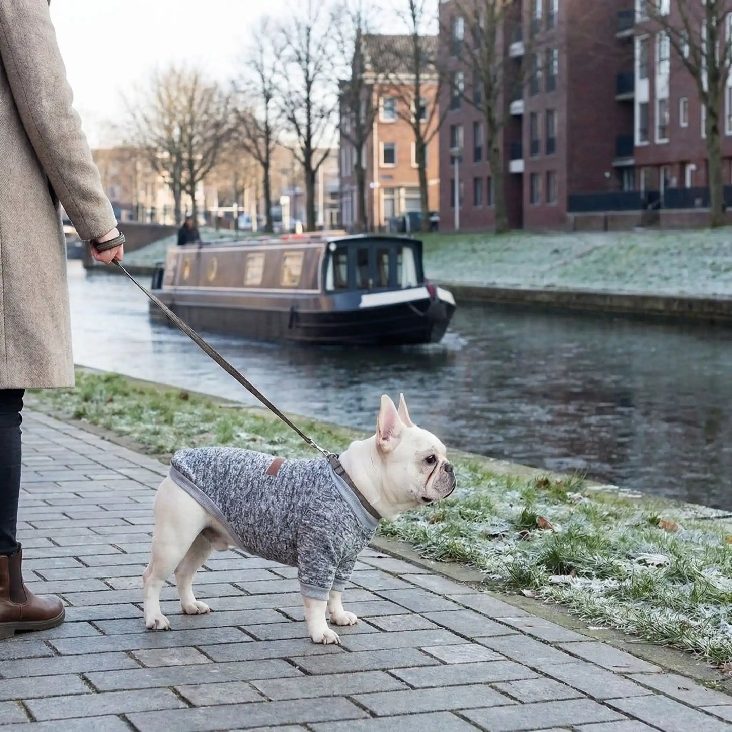 Braver le froid avec le pull chien en hiver