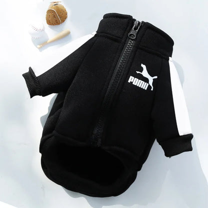 Pull chien | Confort Ultra