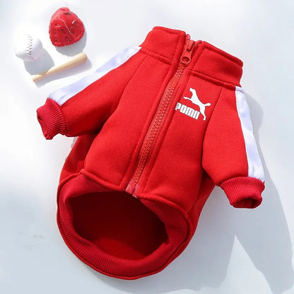 Pull chien | Confort Ultra
