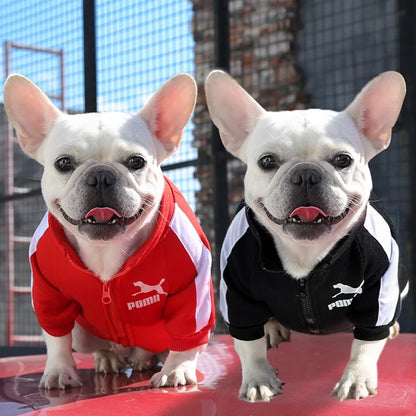 Pull chien | Confort Ultra