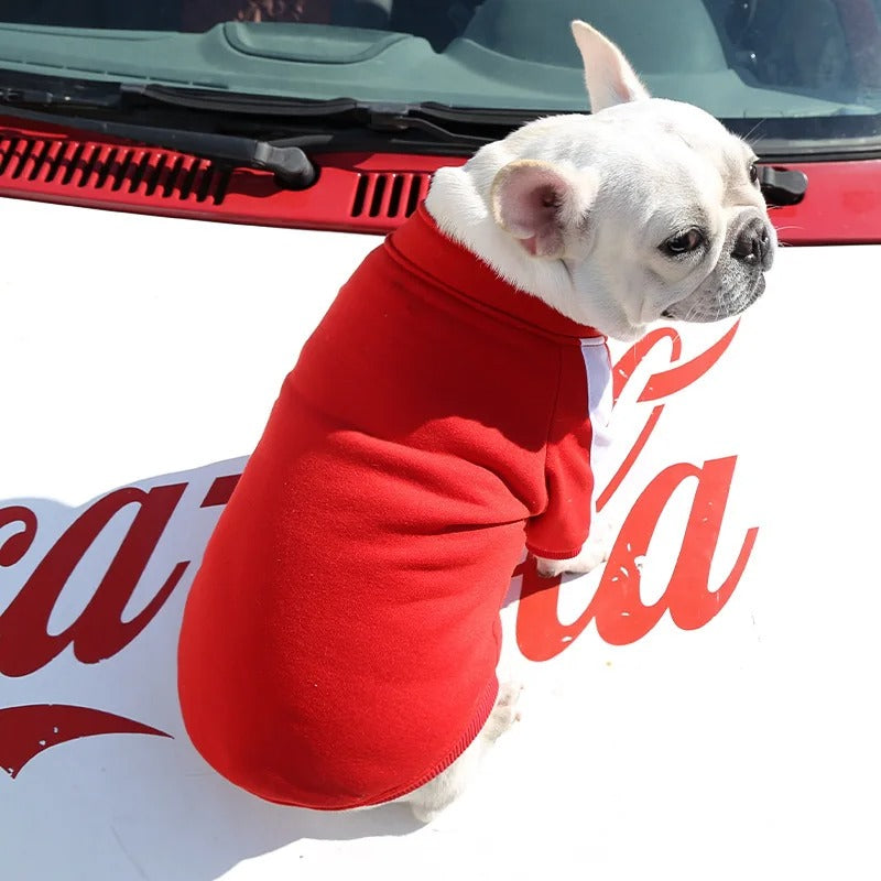 Pull chien | Confort Ultra