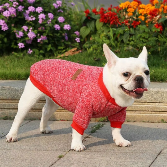 sortie au parc avec le pull chien rouge chiné