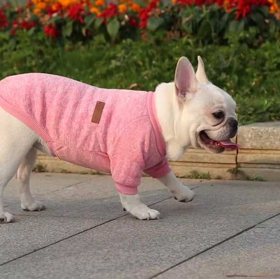 jouer dans la rue avec le pull chien rose