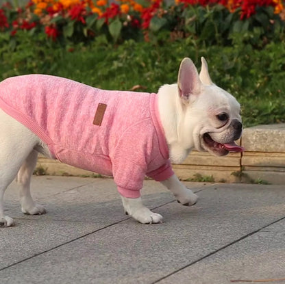 jouer dans la rue avec le pull chien rose