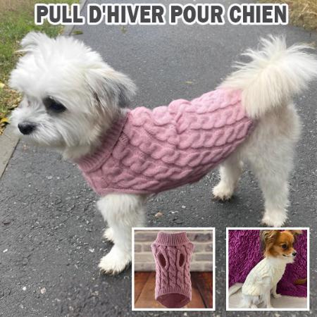 Pull pour chien | Ochaud™ - Je Promène Mon Chien