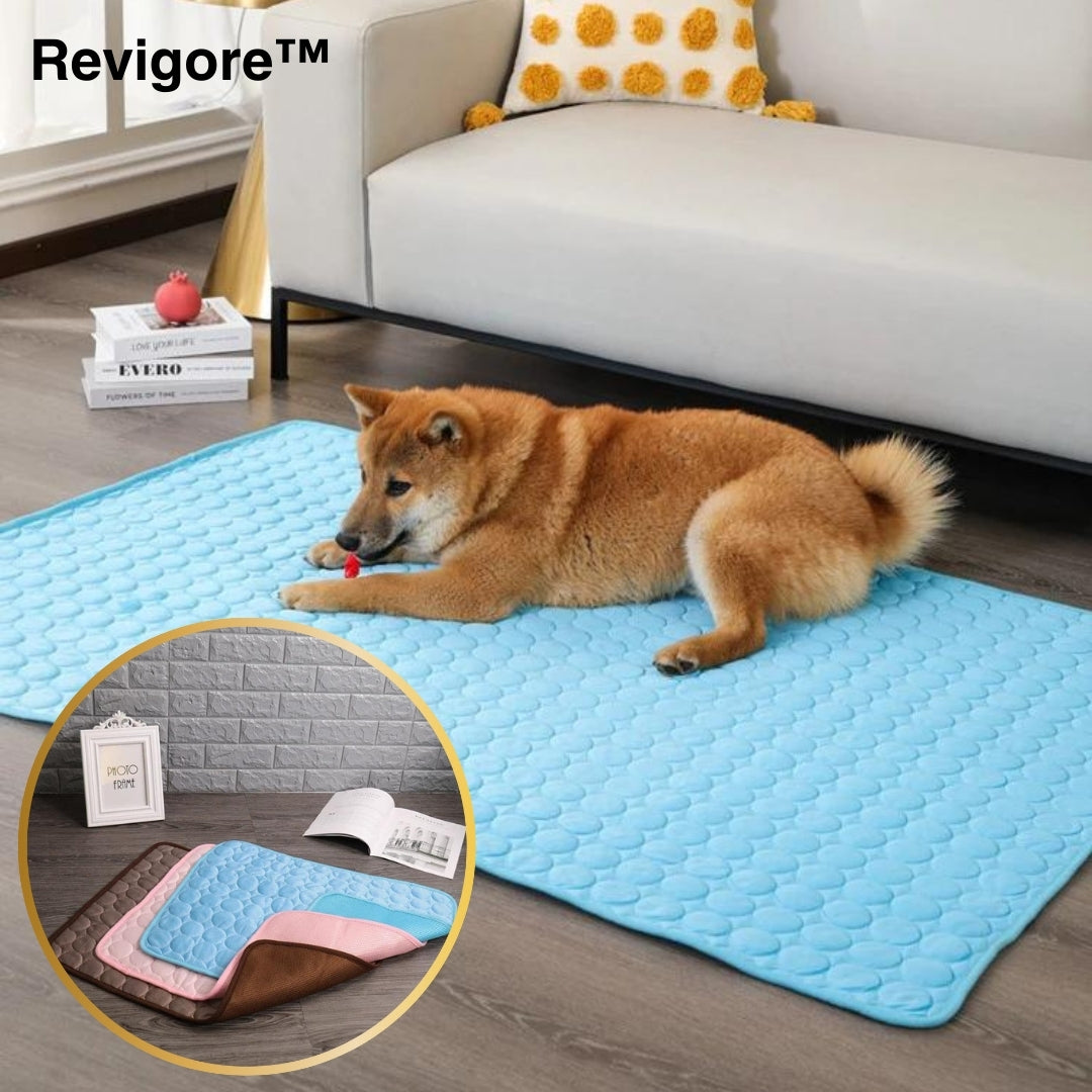 Revigore™ | Tapis rafraichissant - Je Promène Mon Chien