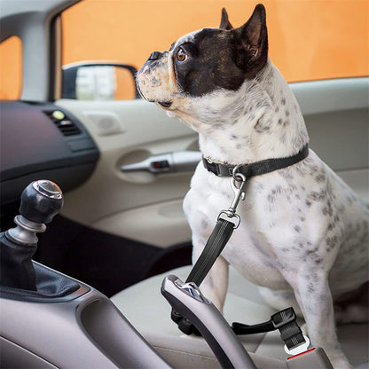 Ceinture de sécurité pour chien | Sécurvoyage™