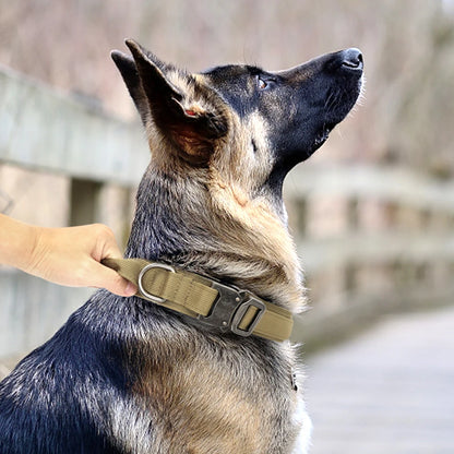 Collier de dressage chien | Tacticol™