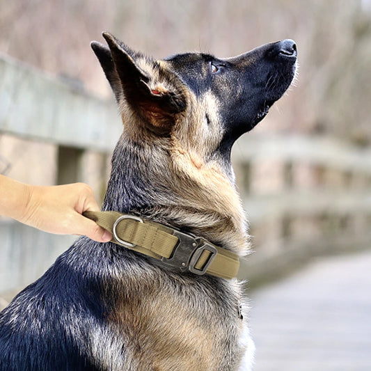 Collier de dressage chien | Tacticol™