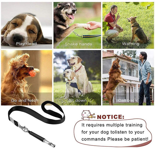 Sifflet à ultrasons pour chien | Stopaboiement™