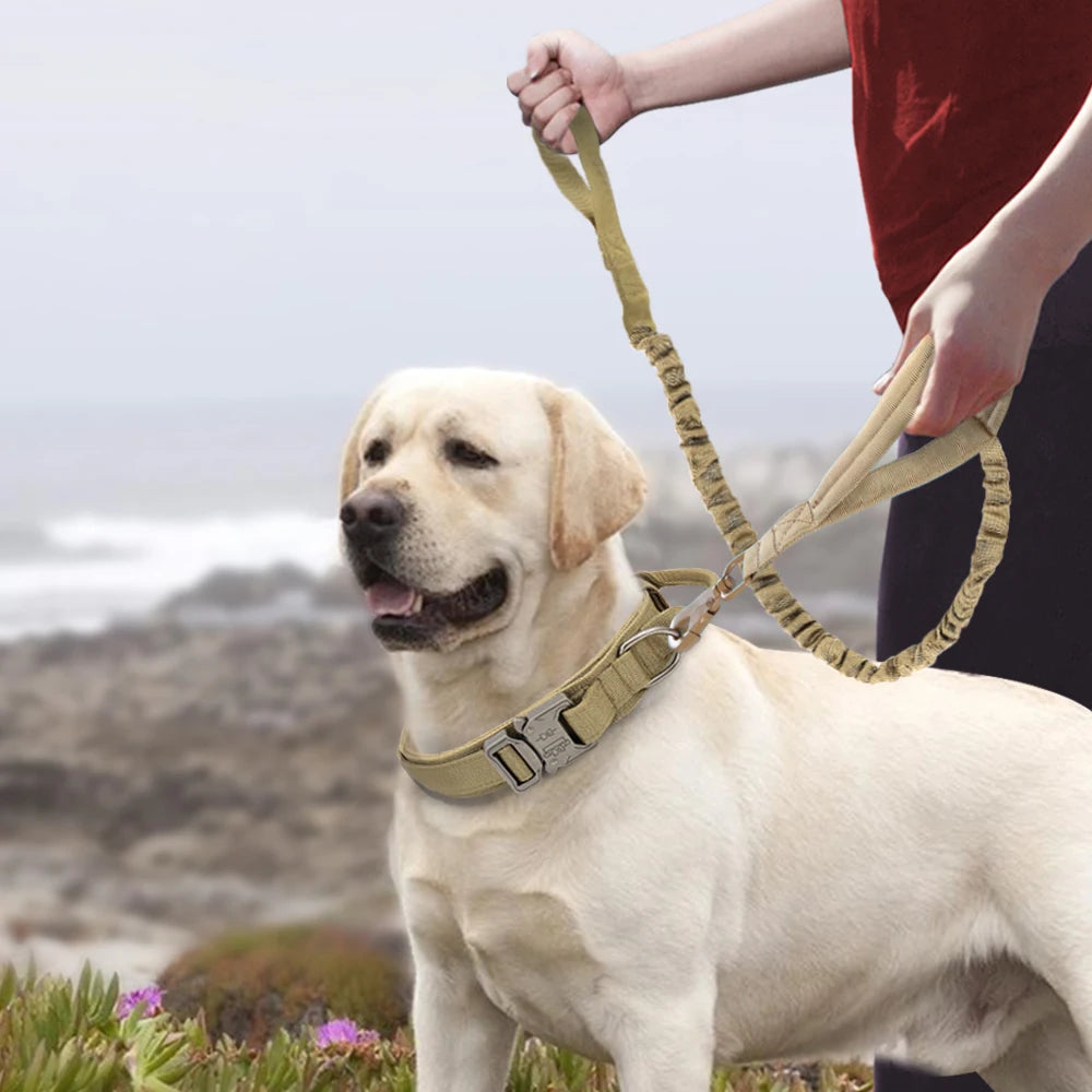 Collier tactique pour grand chien | Militcol™