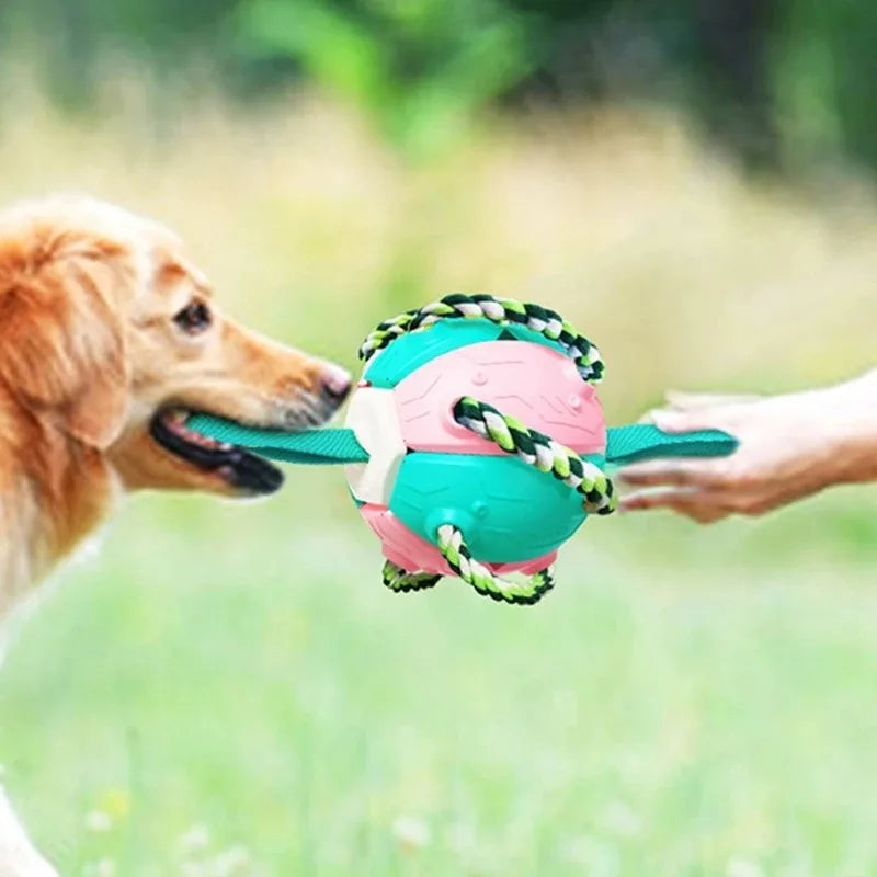 Balle pour chien - Extraballe™ magique 2 en 1