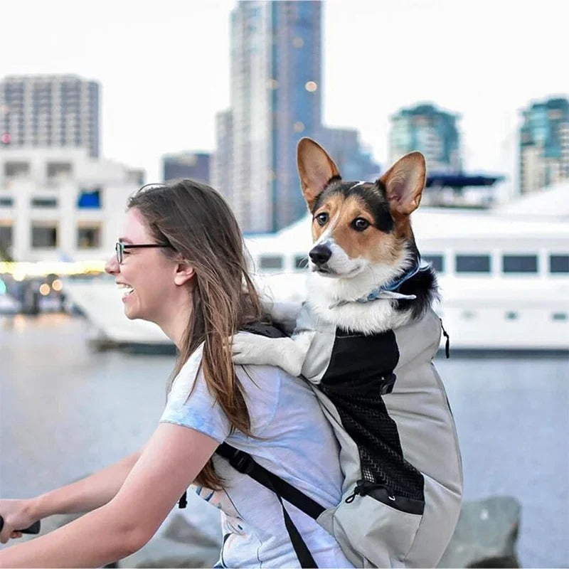 SAC A DOS CHIEN | AVENTURE™