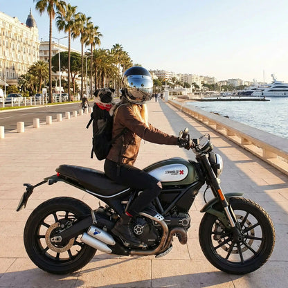 SAC A DOS CHIEN | AVENTURE™