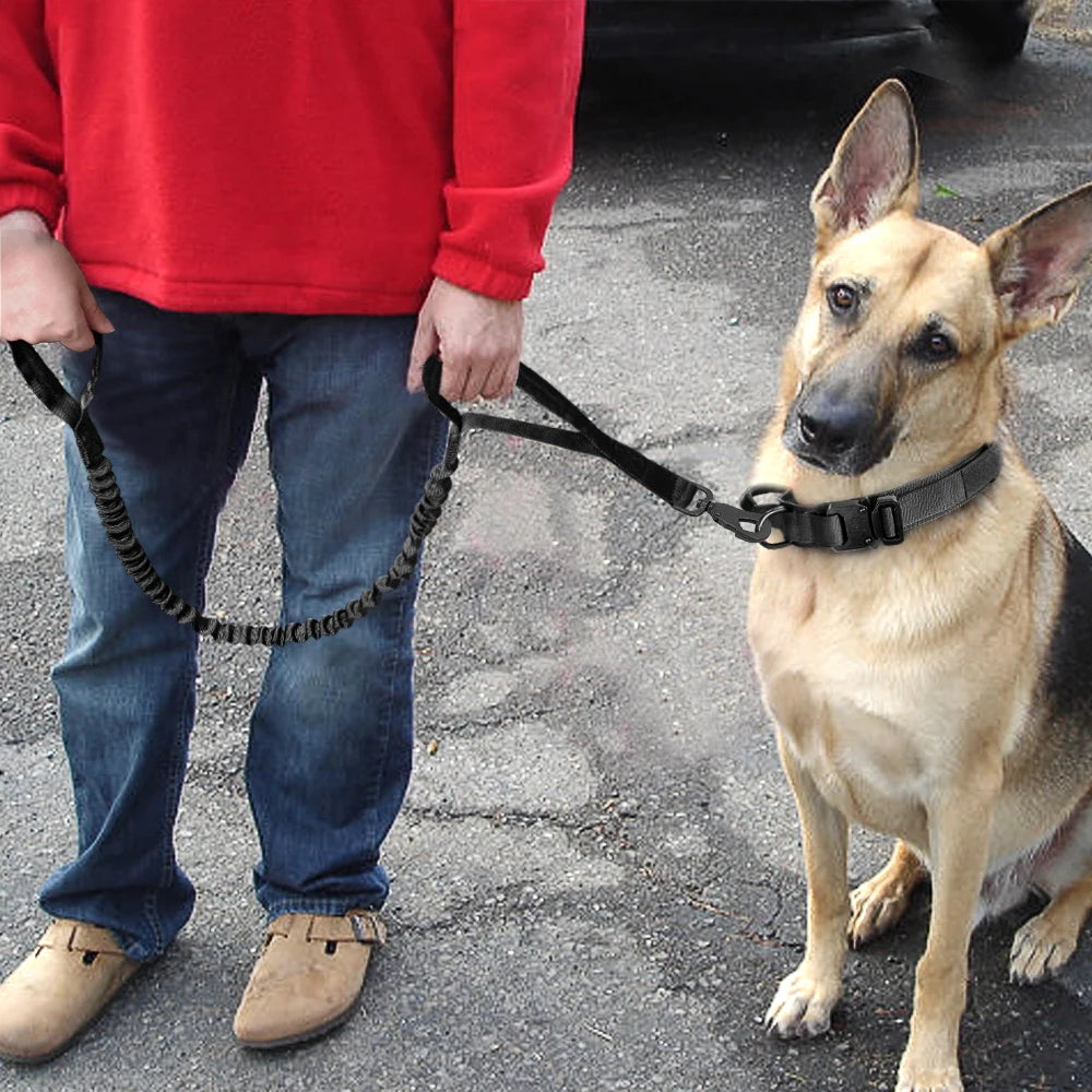 Collier tactique pour grand chien | Militcol™