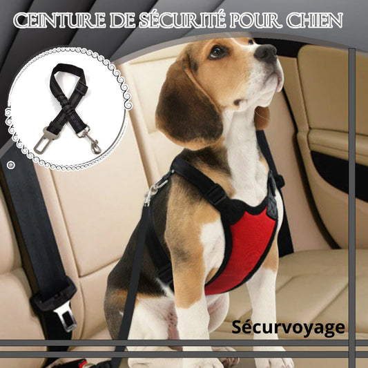 Ccinture-de-sécurité-pour-chien-sécurvoyage-1