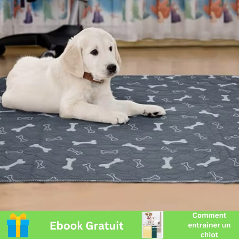 Tapis étanche pour chien | Luckyabsorb™