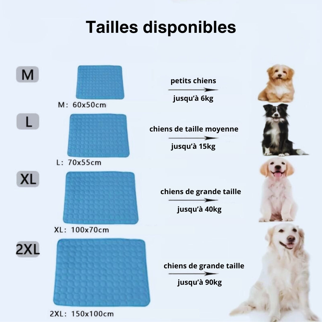 tapis-rafraichissant-chien-Revigore5