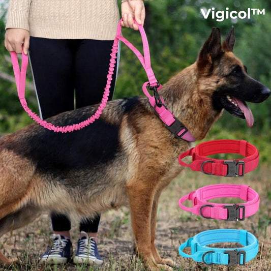 Collier chien | Vigicol™