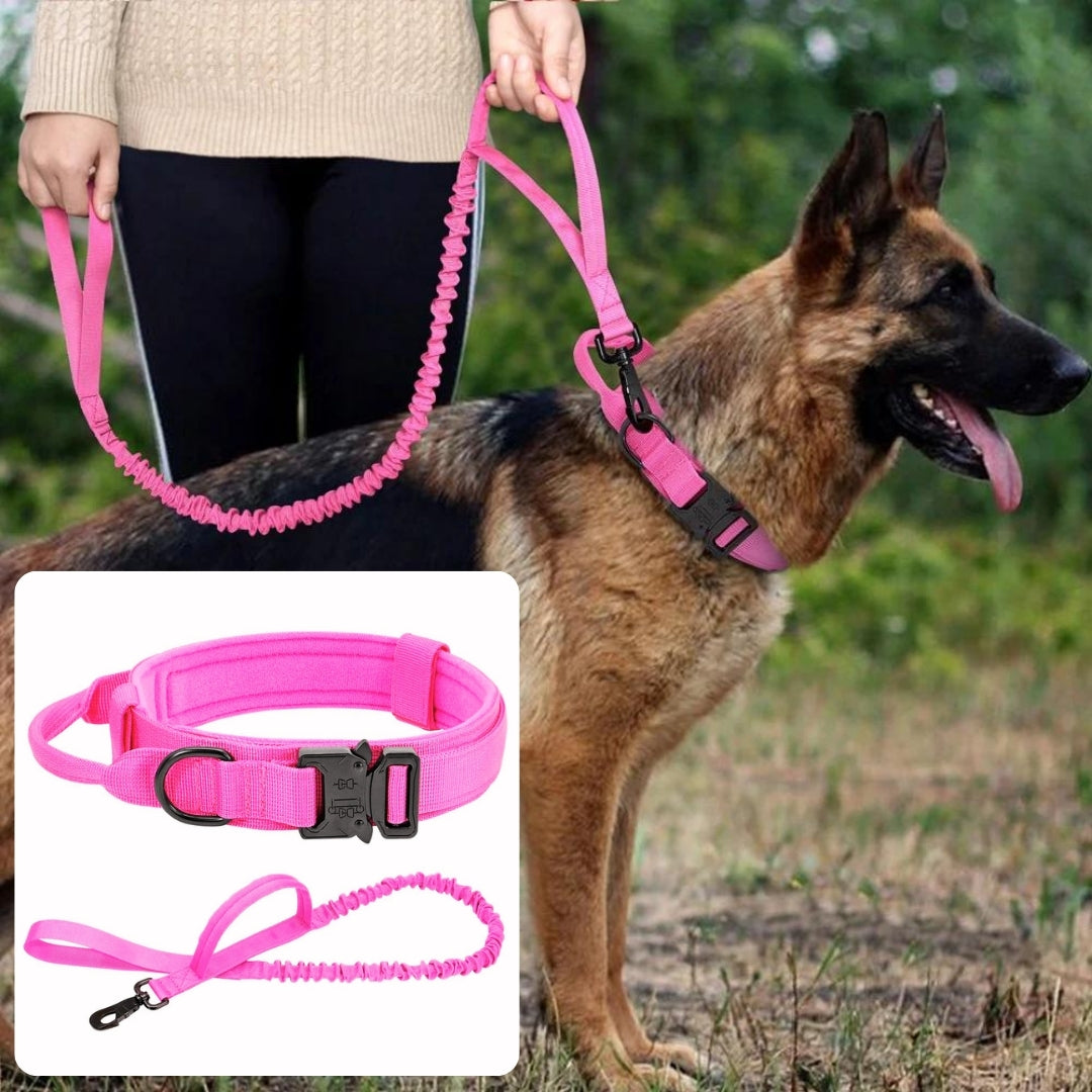 collier-chien-vigicol-rose